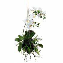 Orquídea com Bolas de Samambaia e Musgo Branco Artificial Suspenso 64cm