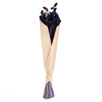 Itens Grama ornamental seca Phalaris Violet, 50-55cm, 100g