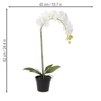 Itens Orquídea artificial, enganosamente realista, para decoração de escritório e sala de estar, 62 cm