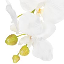 Itens Orquídea artificial, enganosamente realista, para decoração de escritório e sala de estar, 62 cm