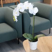 Itens Orquídea artificial, enganosamente realista, para decoração de escritório e sala de estar, 62 cm