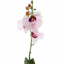 Orquídea artificial Phaleanopsis Branco, Roxo 43cm