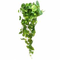 Itens Cabide Filodendro 80cm