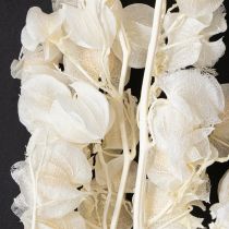 Itens Decoração de flor de lanterna branqueada e seca Physalis Nicandra 75-80cm 100g