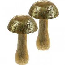 Cogumelo, manga, madeira, ouro, cogumelo decorativo natural Ø9cm H15,5cm 2 unidades
