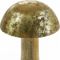 Cogumelo, manga, madeira, ouro, cogumelo decorativo natural Ø9cm H15,5cm 2 unidades