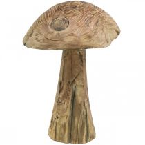 Cogumelo, madeira paulownia, outono, decoração em madeira Ø18–20cm Alt.28cm