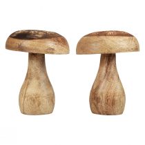 Cogumelos de madeira cogumelos decorativos madeira decoração natural de outono Ø10cm Alt.12cm 2 unidades