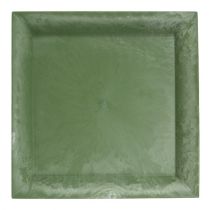 Placa de plástico quadrada verde 19,5 cm x 19,5 cm