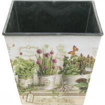 Itens Vaso de ervas, floreira com motivo, floreira Alt.13cm L13,5cm
