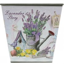 Itens Vaso motivo lavanda, vaso decorativo quadrado, cachepot de plástico A13cm L13,5cm