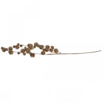 Itens Plátano Ramo Decorativo com Frutas Decoração de Outono Plátano Artificial Castanho L82cm Ø2-4cm