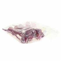 Itens Plumosum 1 Erika 25 unidades