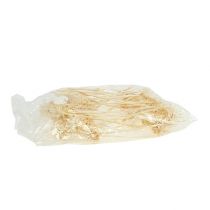 Itens Plumosum 1 descolorido 25 unidades