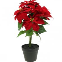 Estrela de Natal Artificial Vermelho Flores artificiais em vaso H53cm