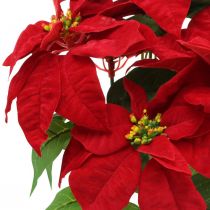 Estrela de Natal Artificial Vermelho Flores artificiais em vaso H53cm