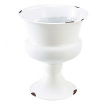 Vaso decorativo copo branco ferrugem Ø13,5cm Alt.15cm Shabby Chic