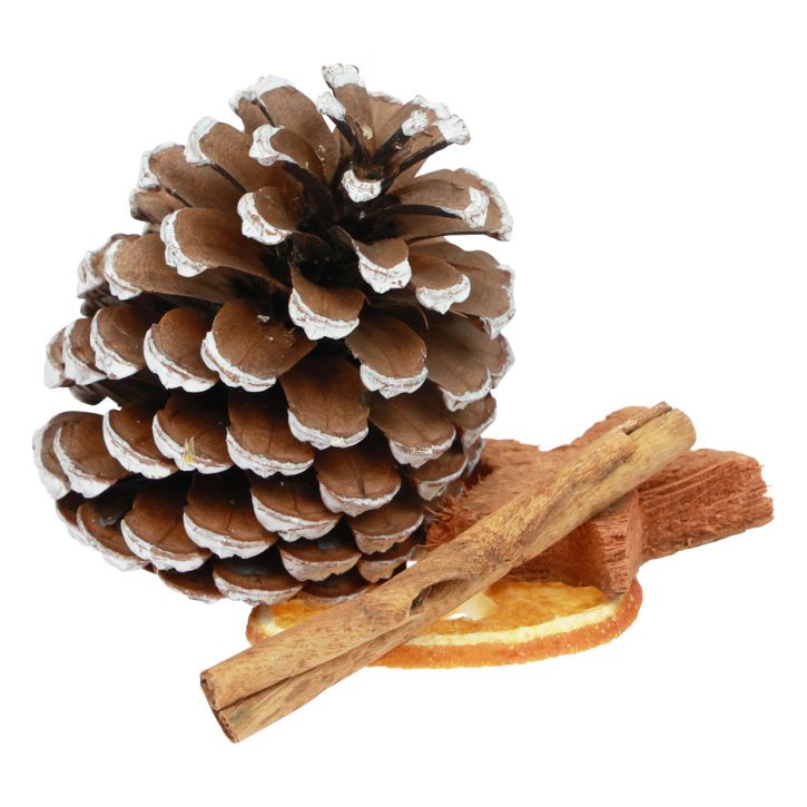Potpourri Natal fatias de laranja cones canela madeira 150g