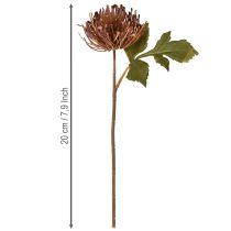 Itens Alfineteiro artificial Protea Leucospermum roxo 30cm 6 peças