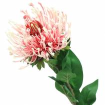 Itens Protea Artificial Rosa 73cm