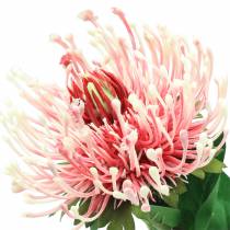 Itens Protea Artificial Rosa 73cm