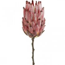 Flor artificial exótica vermelha protea artificial H55cm