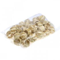 Itens Copo Sino com decoração de abóbora Copo Abóbora branqueado 50 un