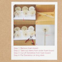 Itens Dente-de-leão decorativo em branco – delicadas flores secas para arranjos elegantes Ø11cm 6 pcs