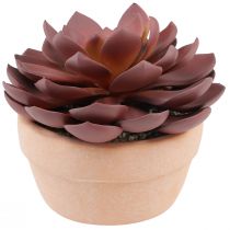 Planta suculenta em vaso Echeveria artificial vermelha Ø15cm