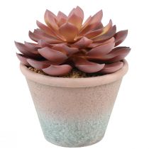 Planta suculenta em vaso Echeveria artificial vermelho vintage Ø15cm Alt.16cm