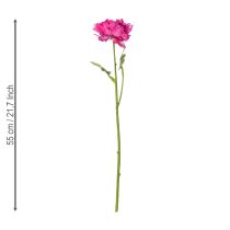 Itens Flor de ranúnculo artificial, réplica detalhada para decoração de sala de estar e escritório, 55 cm, 6 peças