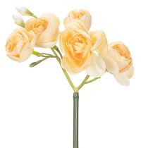 Itens Ramo de ranúnculo para arranjos decorativos em vasos, 32 cm, 5 peças