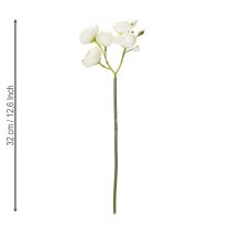 Itens Buquê de Ranúnculos Artificiais, Decoração Floral Duradoura para a Primavera, 32cm, 5 Peças