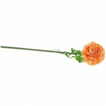 Itens Ranunculus salmon Alt.45cm