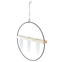 Itens Tubo de ensaio vaso decorativo anel decorativo metal preto 29×4×29cm