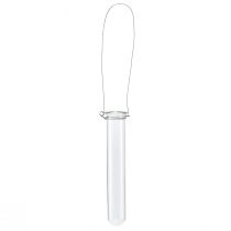 Itens Tubo de ensaio de vidro decorativo para pendurar mini vaso Ø2,4cm Alt.22,5cm