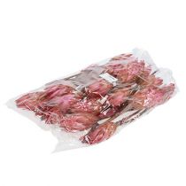 Itens Repens Erika 25 unidades