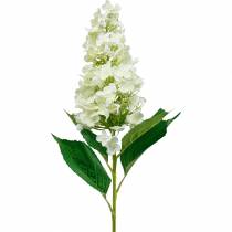 Panicle Hortênsia Creme Branco Hortênsia Artificial Silk Flor 98cm