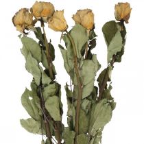 Rosa de flores secas, Dia dos Namorados, floricultura seca, rosas decorativas rústicas amarelo-violeta L45-50cm 5pcs