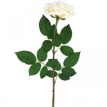 Rosa de damasco branco cremoso, flor de seda, rosas artificiais L72cm Ø12cm