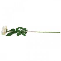 Itens Rosa de damasco branco cremoso, flor de seda, rosas artificiais L72cm Ø12cm