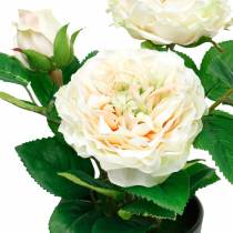 Itens Peônia em um vaso, rosa decorativa romântica, flor de seda branca creme