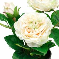 Peônia em um vaso, rosa decorativa romântica, flor de seda branca creme