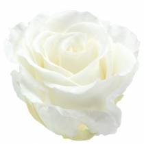 Rosas infinitas grandes Ø5,5-6cm brancas 6 unidades