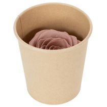 Itens Cabeças de rosas preservadas, presente romântico, rosas duradouras para ocasiões especiais, 5 cm, 6 unidades