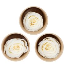 Itens Cabeças de rosas preservadas, decoração de mesa durável para um ambiente romântico, decoração de casamento, 5 cm, 6 peças.