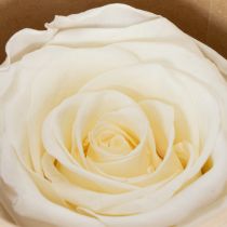 Itens Cabeças de rosas preservadas, decoração de mesa durável para um ambiente romântico, decoração de casamento, 5 cm, 6 peças.