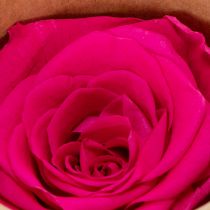 Itens Decorações de rosas preservadas, flores naturais para decoração de mesa, flores únicas e sustentáveis, 5 cm, 6 peças.