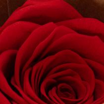 Itens Rosas Preservadas Decorativas e Românticas para Ambientes Residenciais ou Casamentos - 5cm - 6 unidades