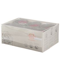 Itens Rosas Vermelhas Rosas Infinitas Cabeças de Rosas Reais Vermelhas Ø6cm 6 unidades